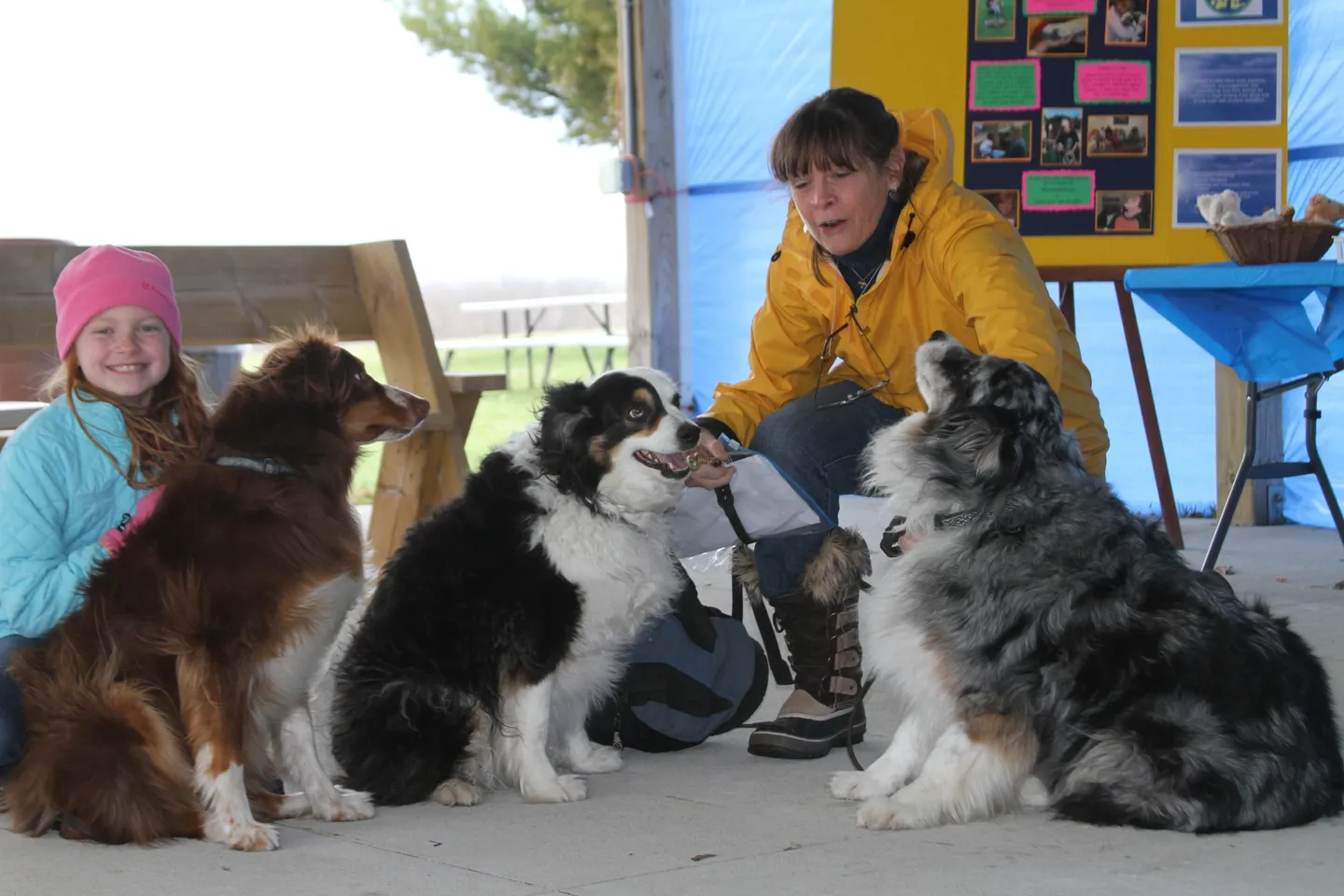 A woman sitting on the ground with four dogs.