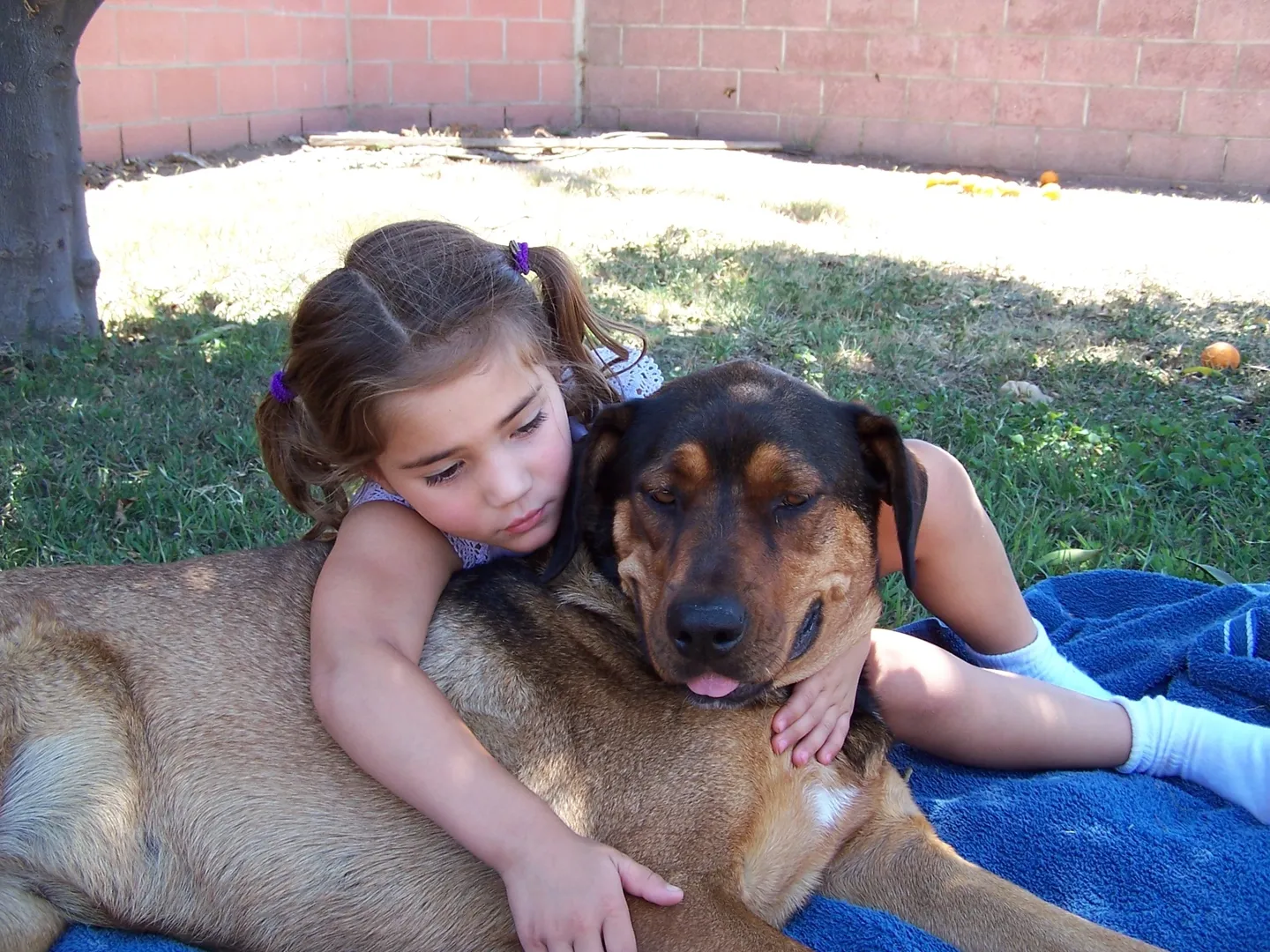 A little girl and her dog are laying on the ground.